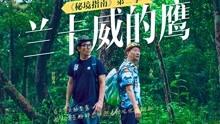 大学与学院有什么区别？游戏画面