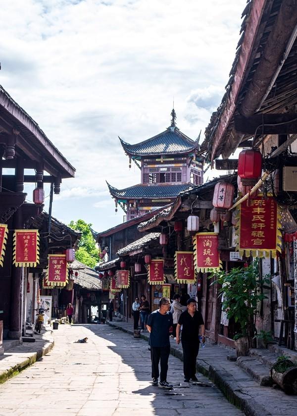 细胞分裂4